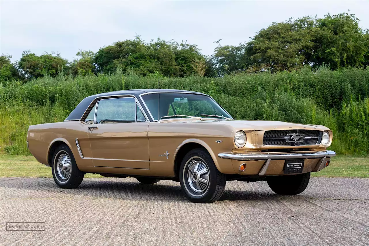 Used FORD MUSTANG 1965 for sale