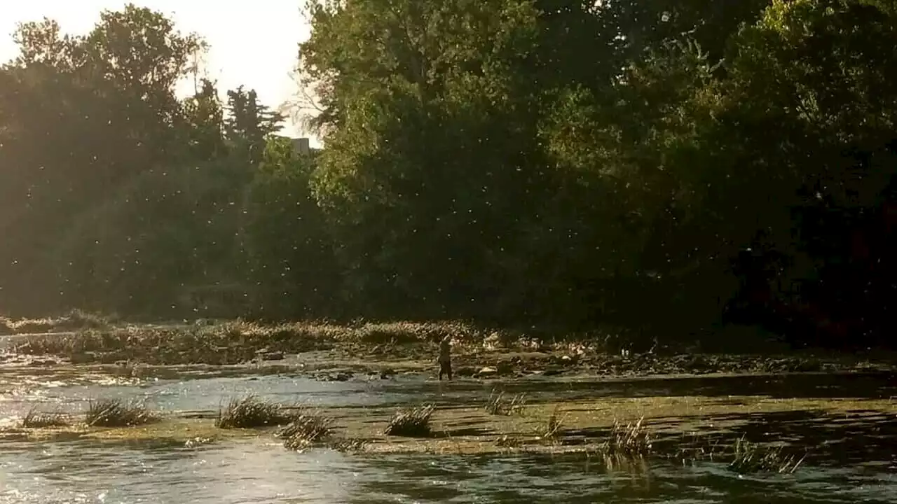 Siccità, la portata del Tevere è vicina al minimo vitale: peggiora la crisi idrica del Lazio