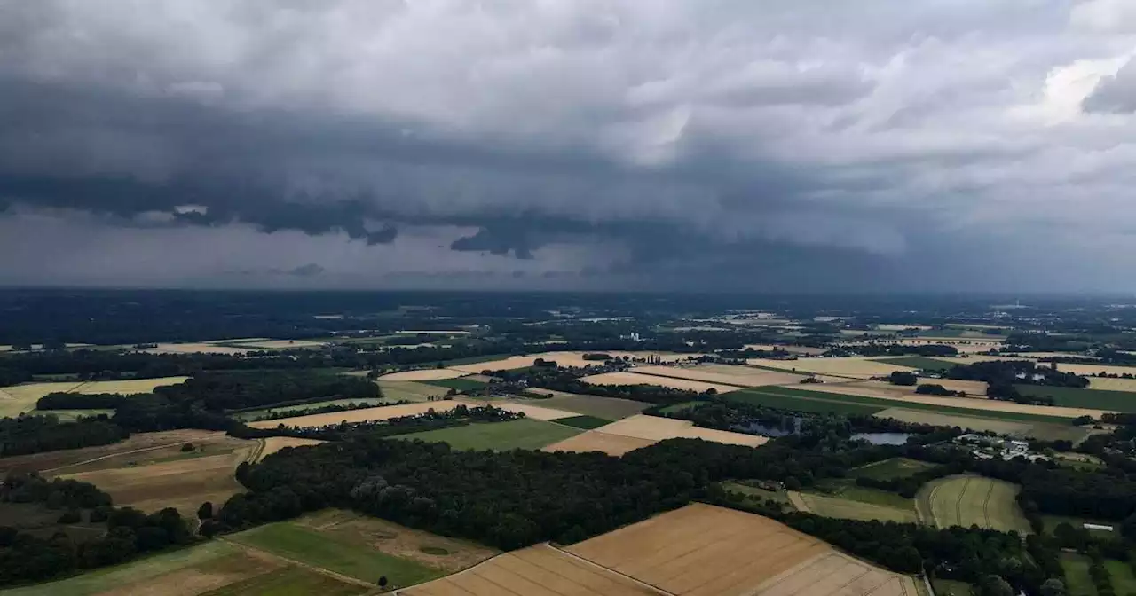 Herbstwetter in NRW: Wem der Regen hilft – und wem nicht