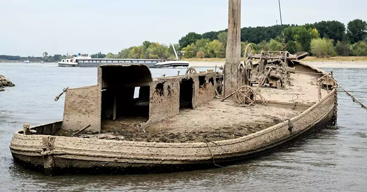 Immer noch Niedrigwasser, aber...: Rheinpegel soll in den kommenden Tagen drastisch steigen