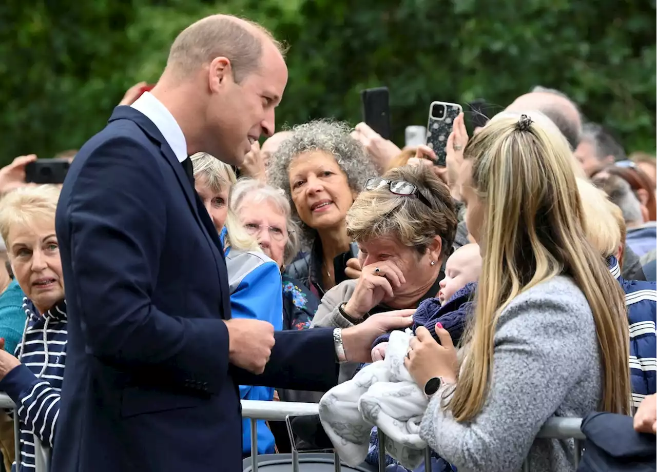 Prince Harry and Prince William Are Finding Comfort In The Pups Waiting Outside The Palace