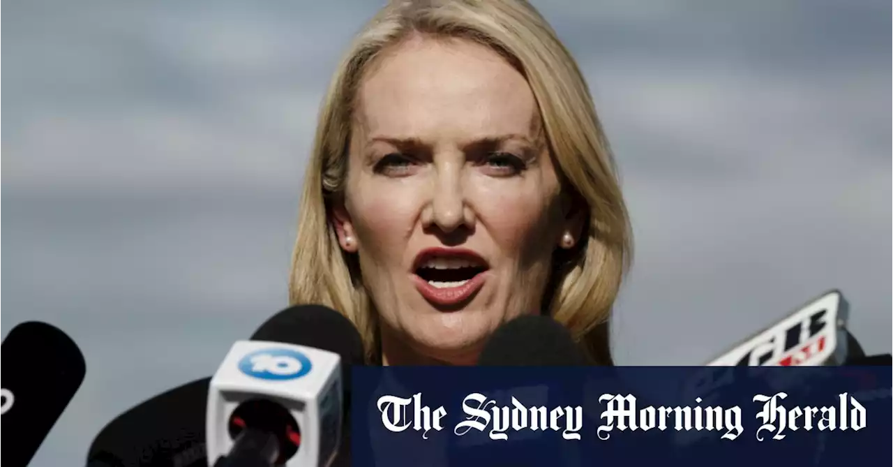Senior Libs push rising star Natalie Ward for lower house seat