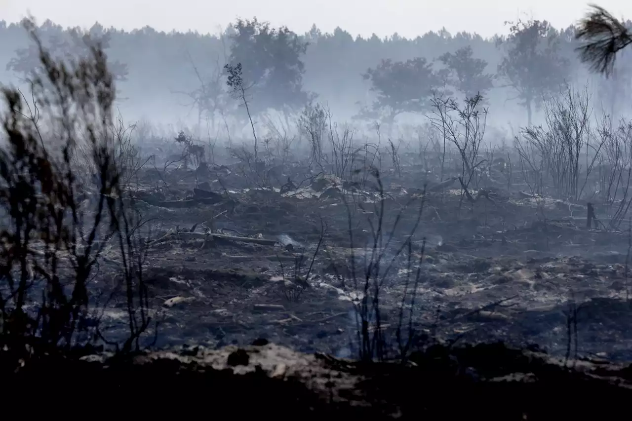 Fumées suite à l’incendie en Médoc : la Gironde et les Landes concernées