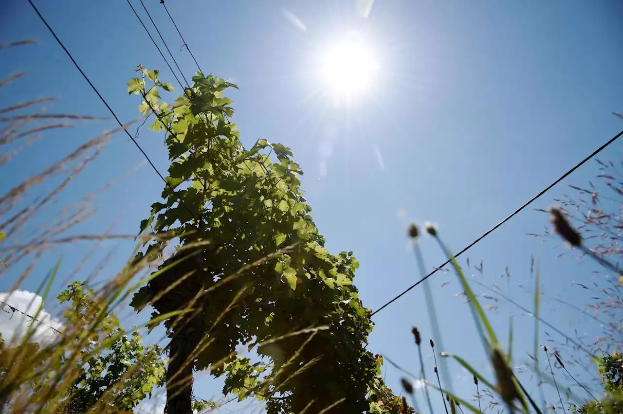 Météo : une nette baisse des températures ce week-end, mais toujours pas de pluie sur le Sud-Ouest