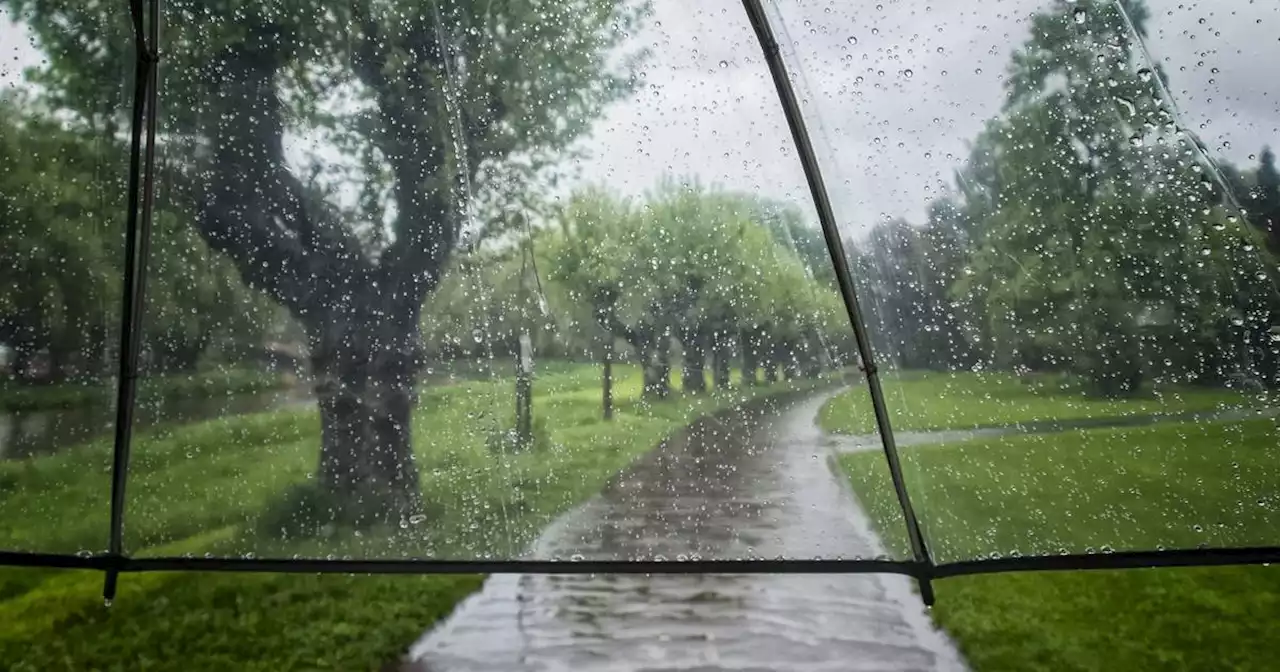 Wettervorhersage: Wind, Regen und Gewitter – So wird das Wetter am Wochenende