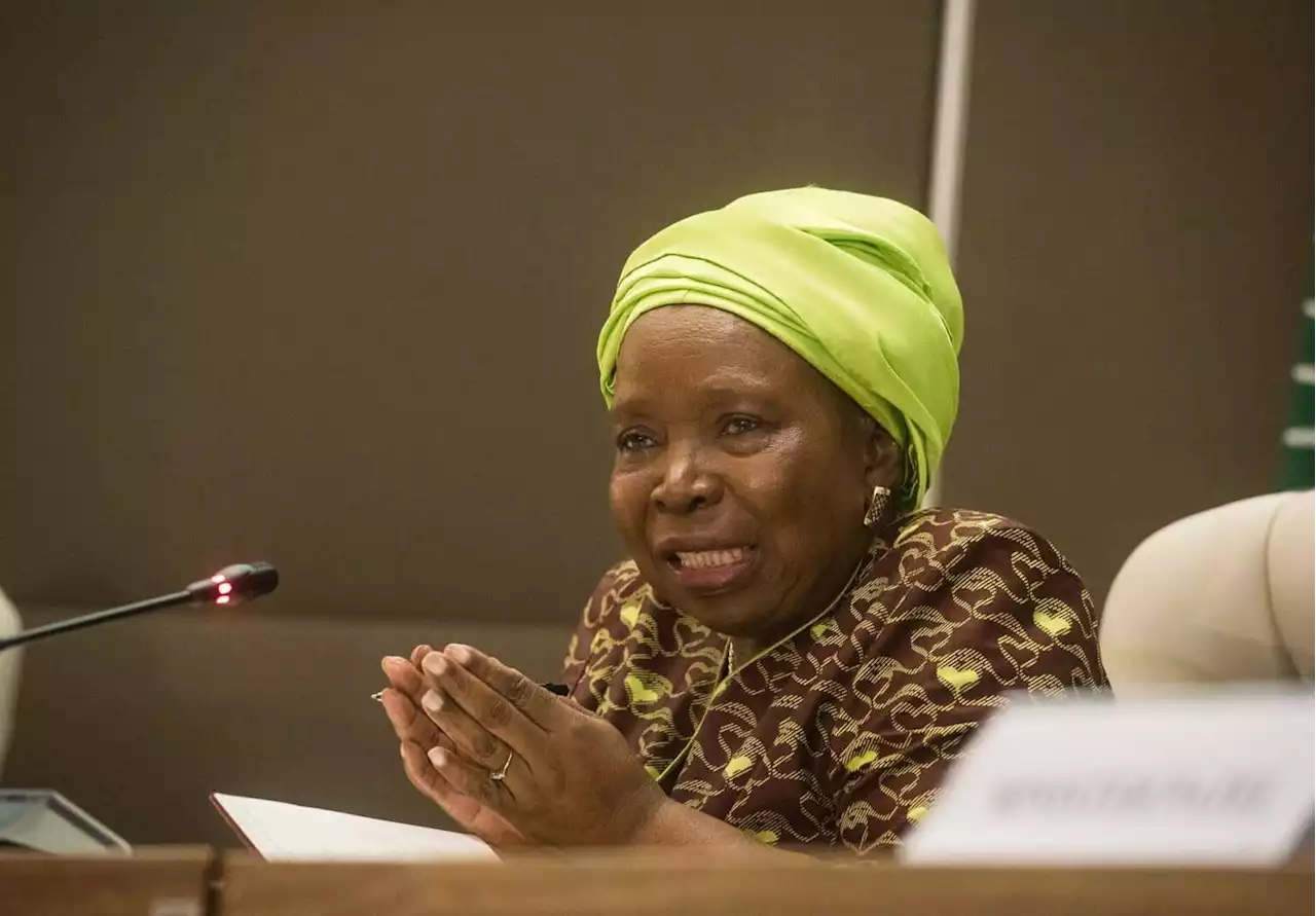 Nkosazana Dlamini-Zuma ‘doesn’t have RET faction’s support’ | The Citizen