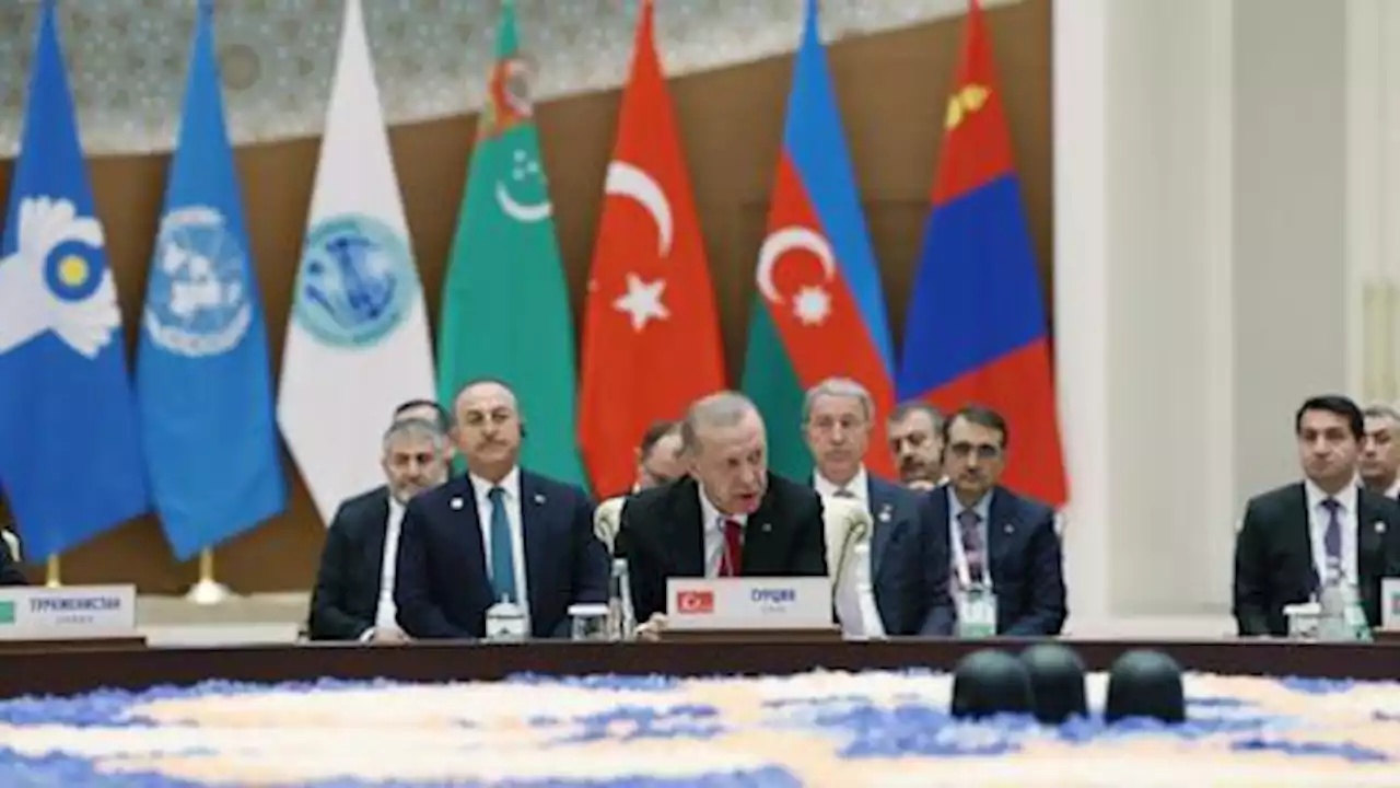 Türkiye making efforts to end Ukraine conflict through diplomacy: Erdogan