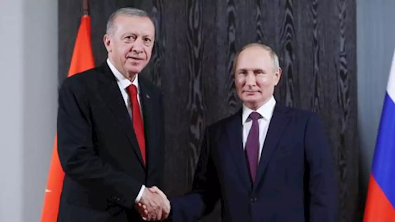 Türkiye's Erdogan meets Russia's Putin at SCO Summit