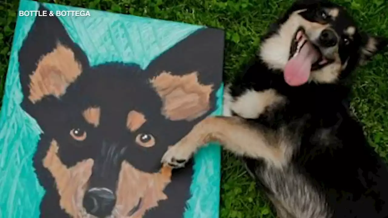 Paint your pet and help a veteran for National Service Dog Month