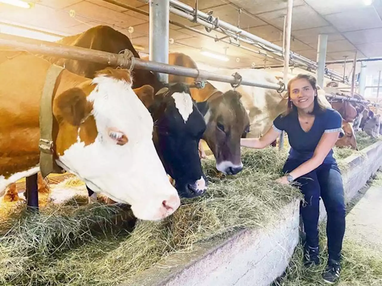 Anbinden oder laufen lassen? – diese Frage stellte sich Maturandin Erika von Euw - bauernzeitung.ch