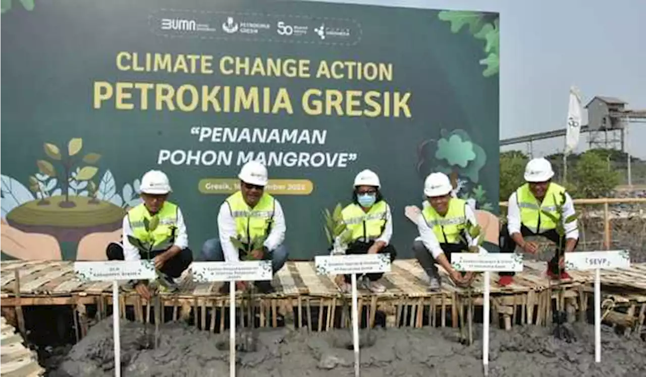 Dukung Emisi Nol, Petrokimia Gresik Ajak Warga Tanam Mangrove