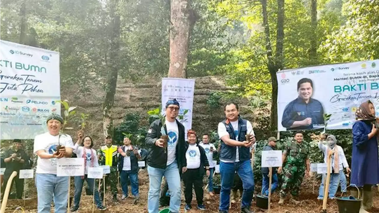 Hijaukan Indonesia, Jasa Raharja Tanam 20.000 Pohon