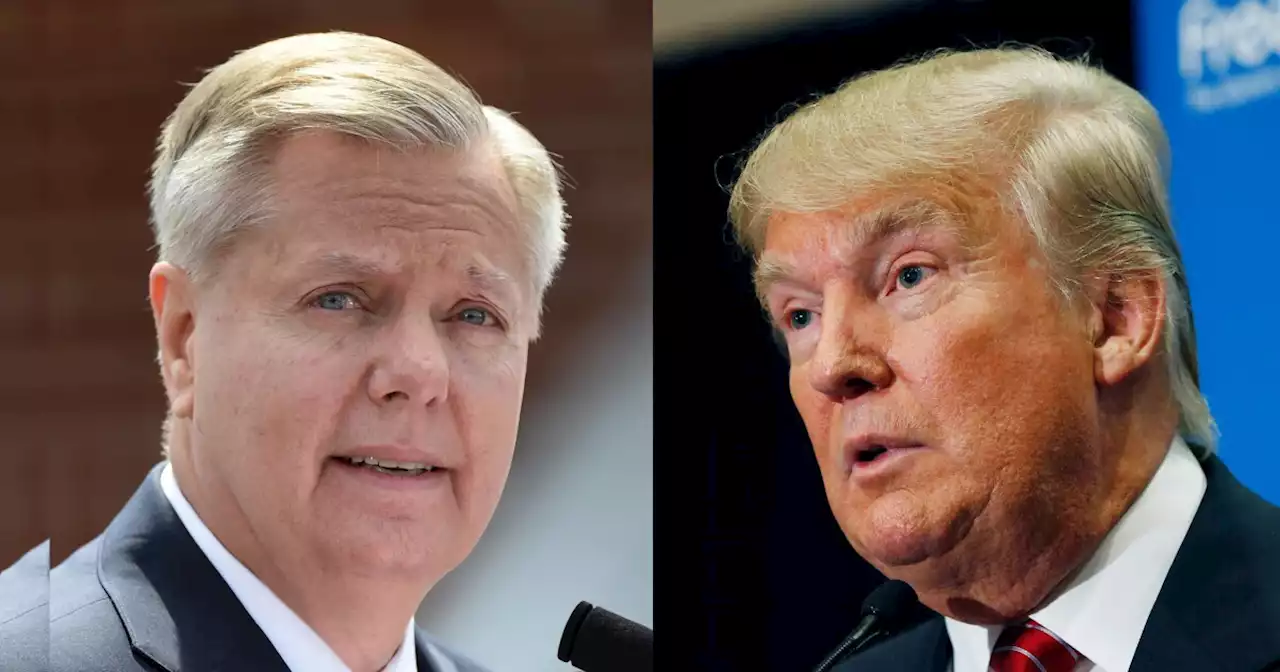 Lindsey Graham called Trump a 'lying motherf***er' who could 'kill people': Book