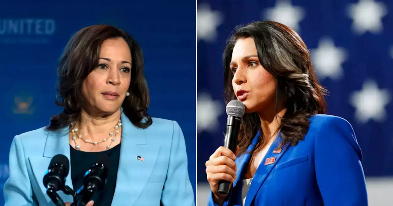 Tulsi Gabbard Rips Kamala Harris For Blatantly Lying After Saying Border Is Secure 