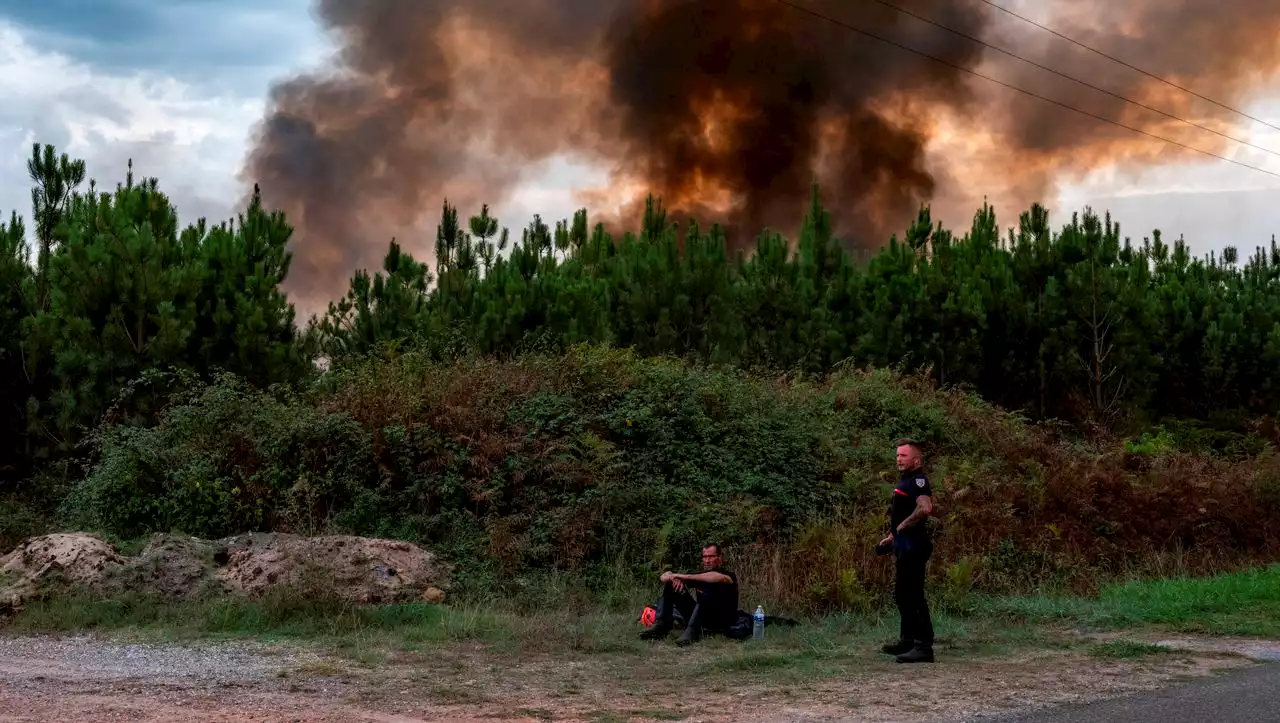 Waldbrände in Europa: »Wir sehen Feuer, die nicht mehr gelöscht werden können«