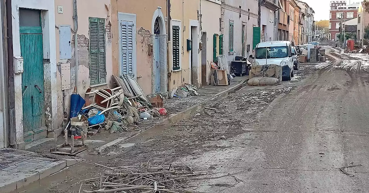 Alluvione Marche, su Senigallia si intensifica la pioggia, paura per la piena del Misa. Il Comune: 'Tutti in casa ai piani alti' - Il Fatto Quotidiano