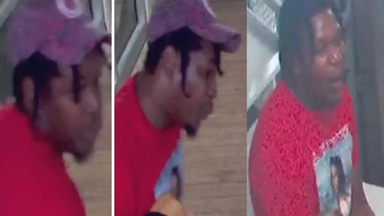 Man wanted for robbery, pushing victim onto CTA Green Line tracks