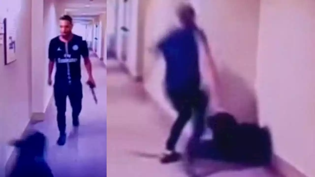 Video shows man kicking, attacking dog in Anaheim apartment hallway