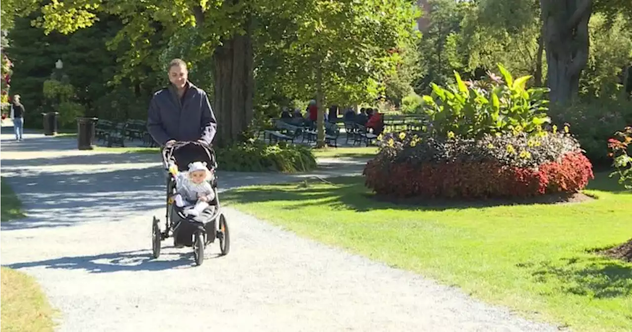 ‘It’s very sad’: Residents baffled by vandalism at Halifax Public Gardens - Halifax | Globalnews.ca