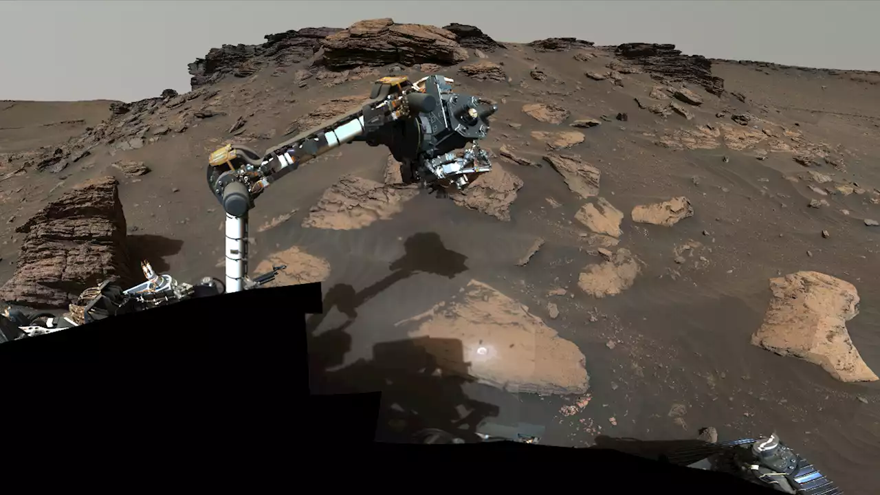 NASA’s Perseverance rover may have found signs of ancient life on Mars