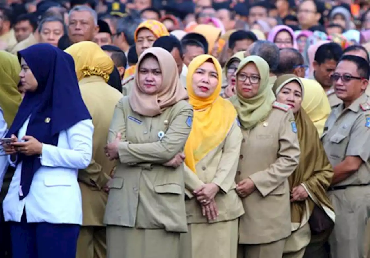 Butuh 3.000 PPPK, Dijatah 347 Tenaga dan Didominasi Formasi Guru