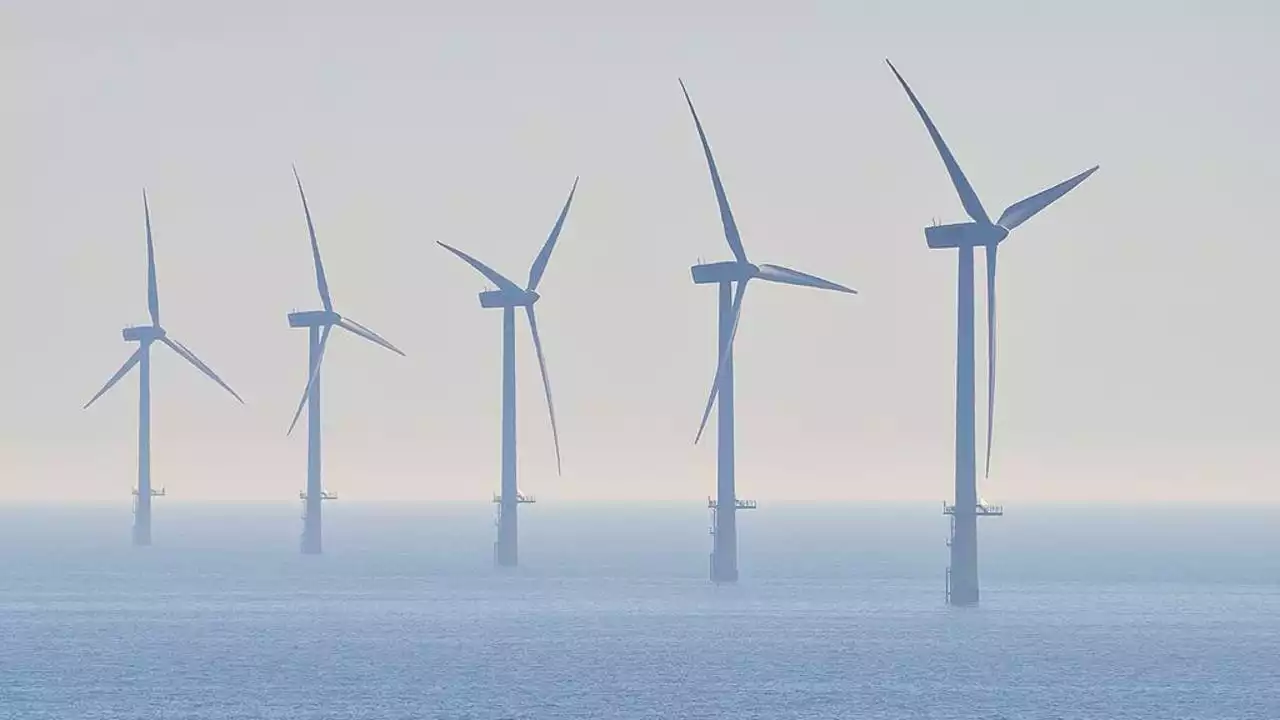 Biden administration banking on California's massive offshore winds for energy