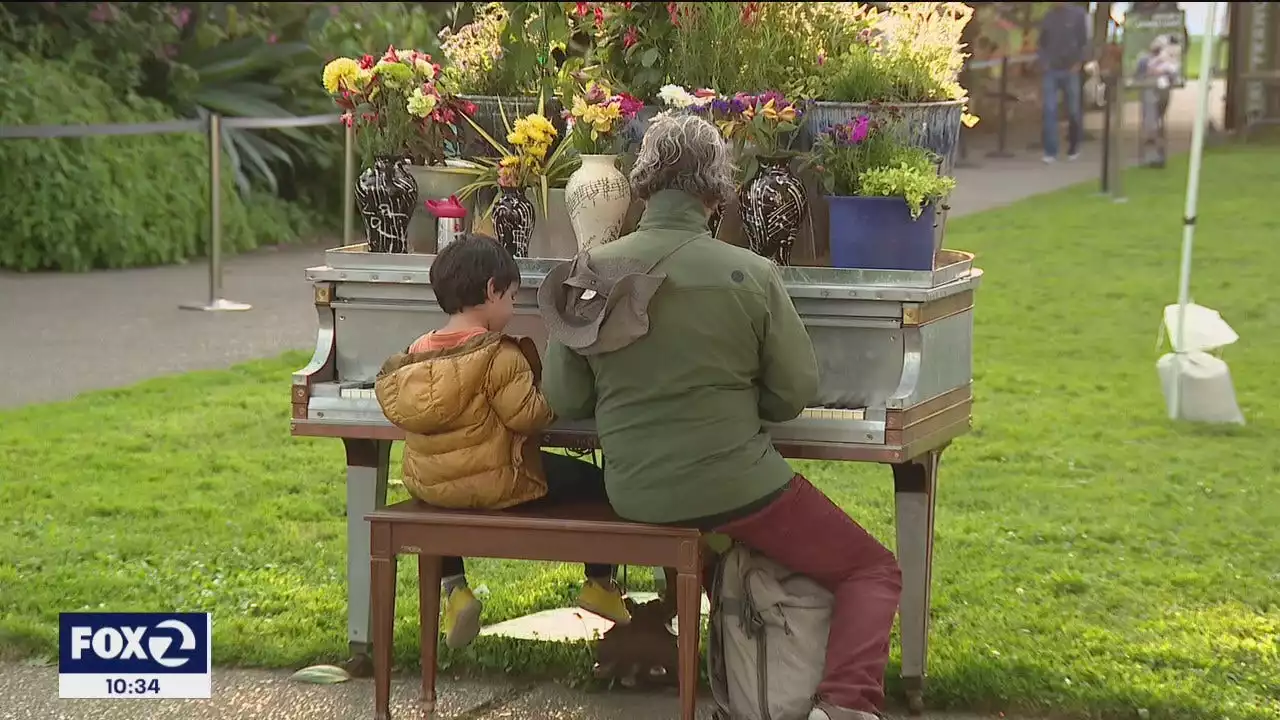 Flower Piano event puts a dozen pianos in SF Botanical Gardens