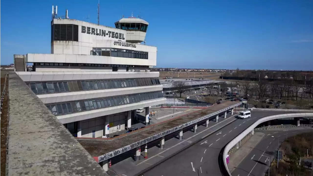 Flughafen Tegel: Studie - Fluglärm beeinflusst manche Vogelarten langfristig