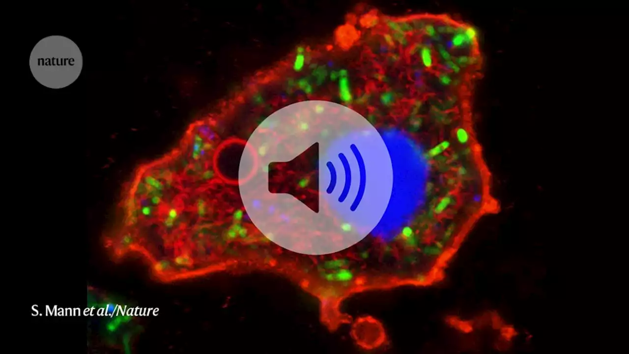 Complex synthetic cells bring scientists closer to artificial cellular life