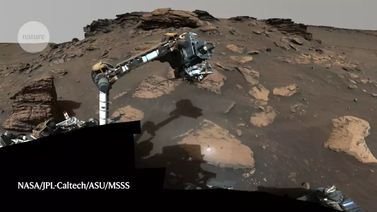 NASA’s Mars rover makes ‘fantastic’ find in search for past life