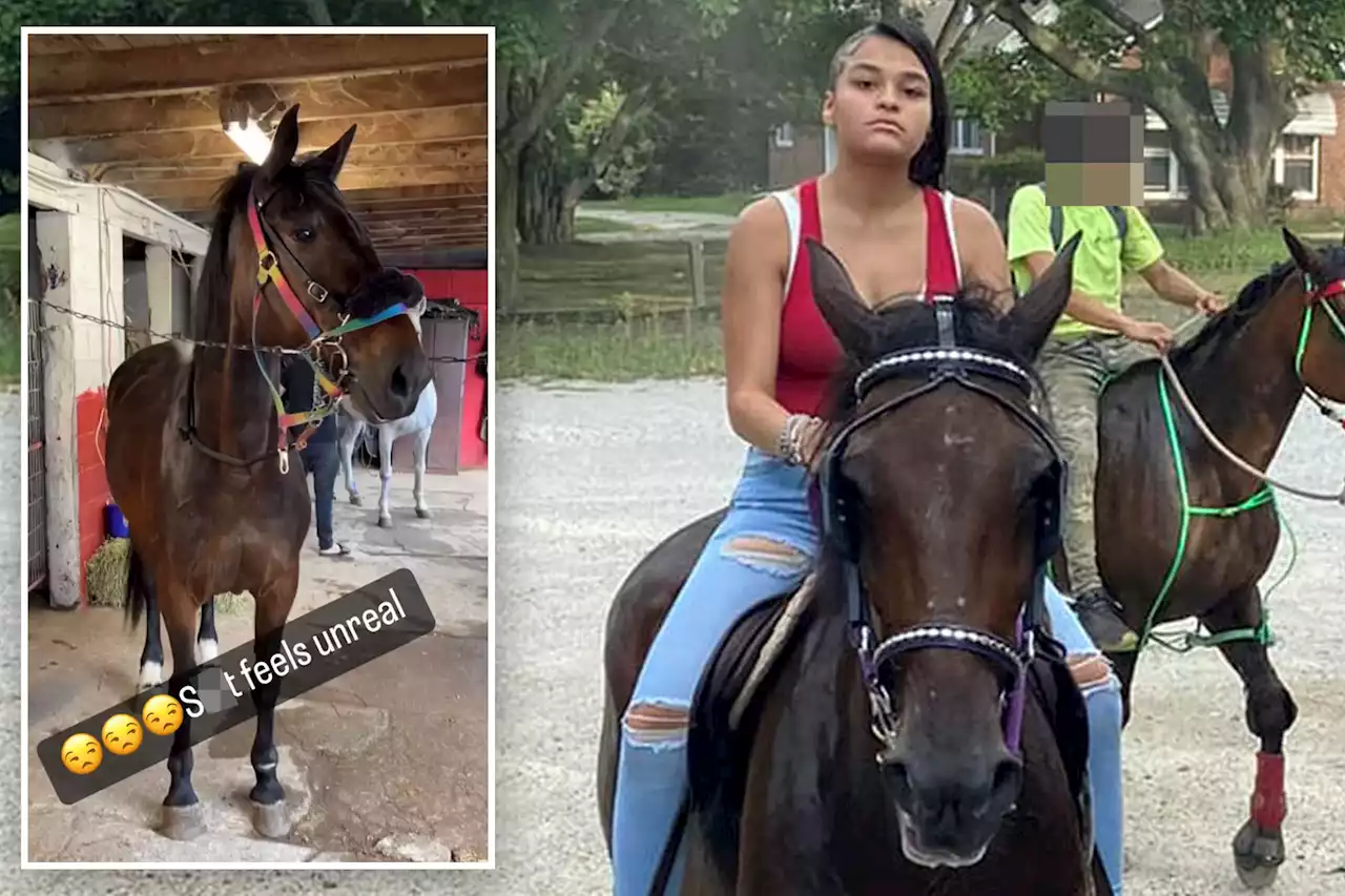 New Jersey driver kills horse, injures 14-year-old rider before fleeing scene