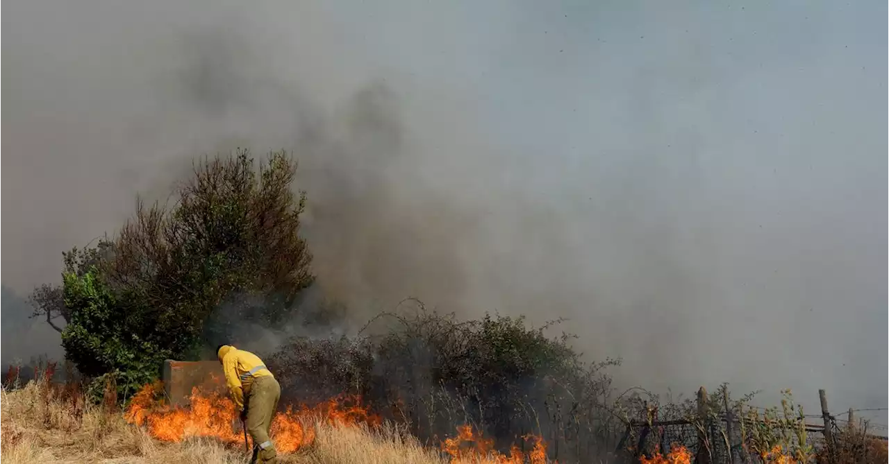 Record heatwaves drive EU's July excess deaths to 2022 high