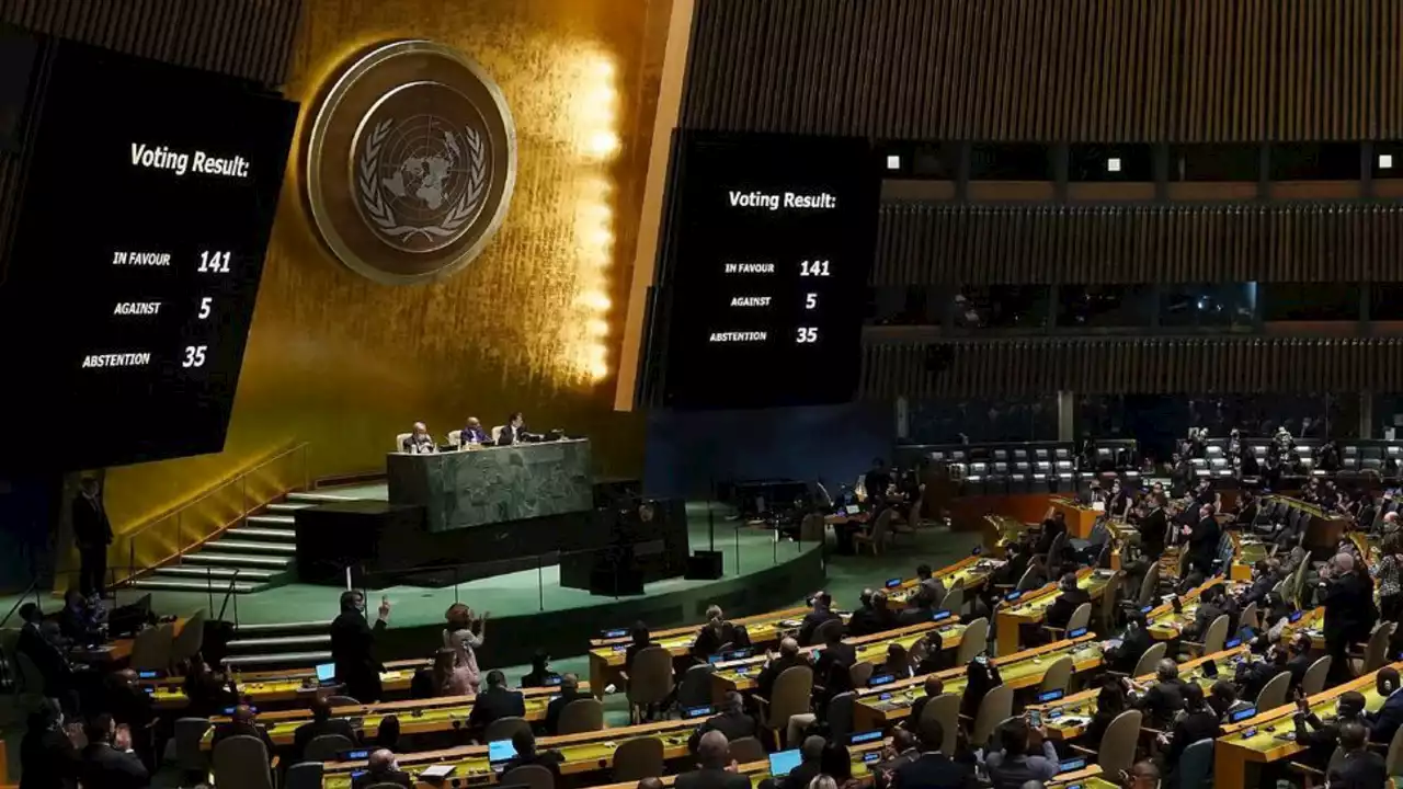 Volodymyr Zelensky autorisé à s'exprimer en vidéo à l'Assemblée générale de l'ONU