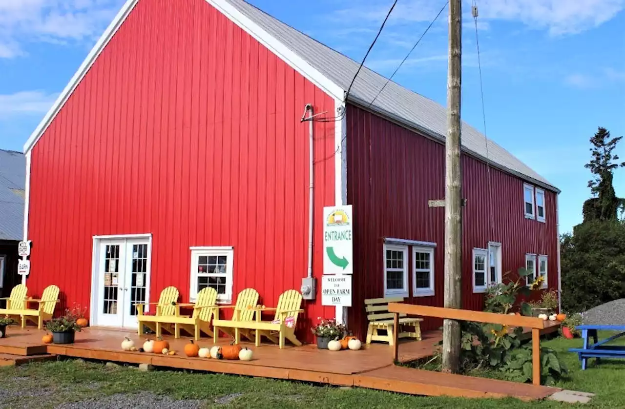 Open Farm Day comes to Nova Scotia on Sept. 18 | SaltWire