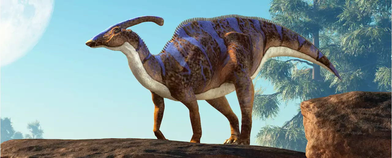 Researchers Claim to Have Found a Rare Dinosaur 'Mummy' With Some Fossilized Skin