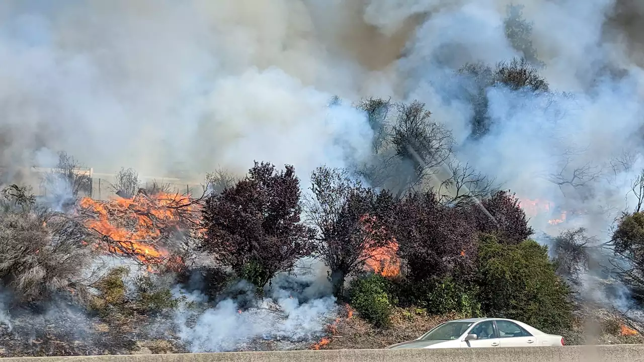 Multiple homes burning in Oakland fire near I-580