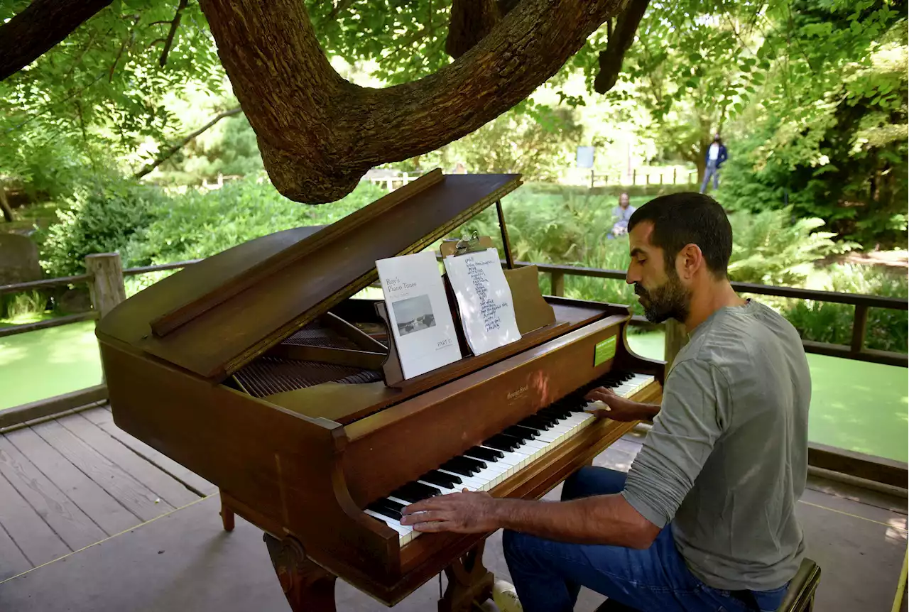 SF's Botanical Gardens become a musical playground this weekend