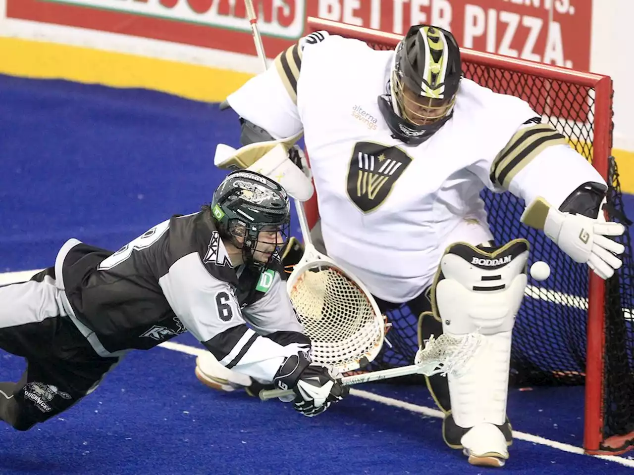 Free-agent goaltender Alex Buque signs with Rush