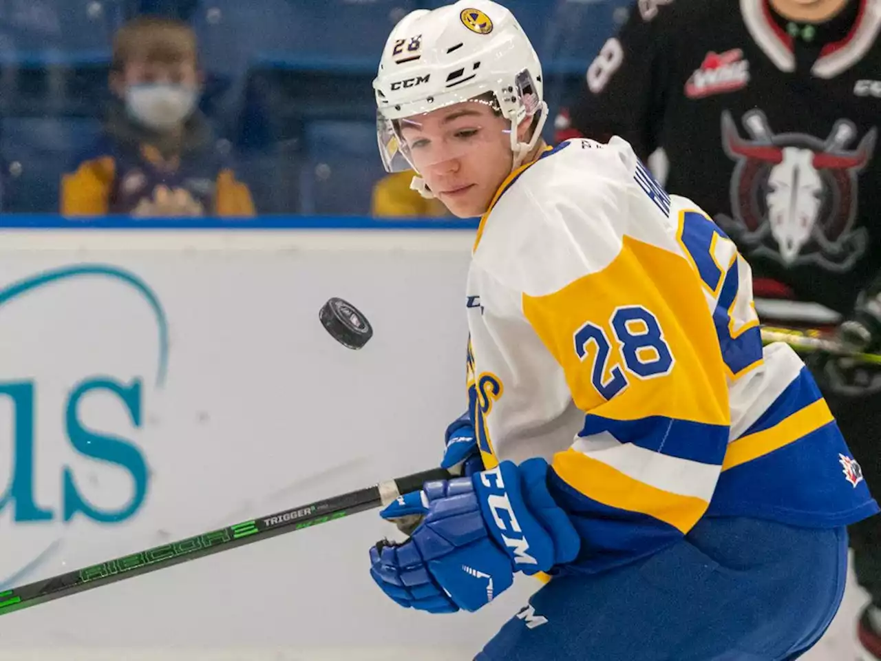 'Most improved': Lukas Hansen scoring on the rebound for Saskatoon Blades