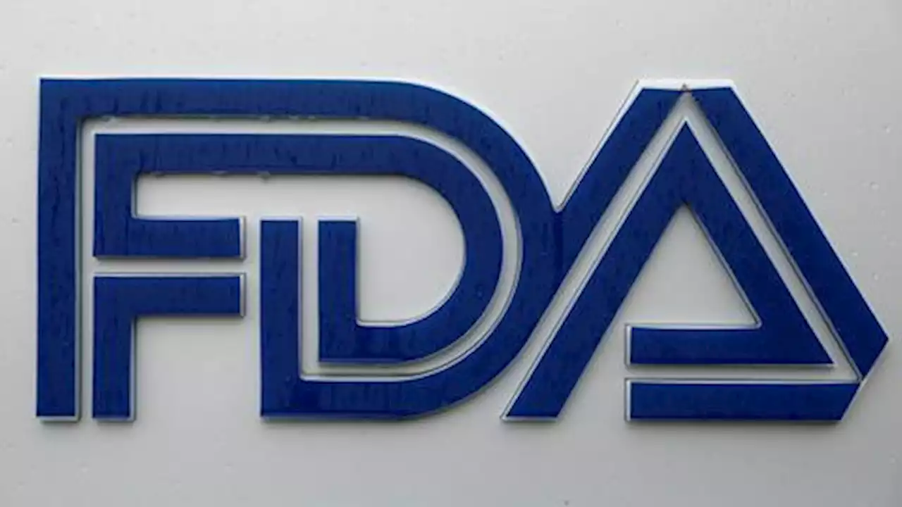 US FDA approves bluebird bio's gene therapy for rare neurological disorder