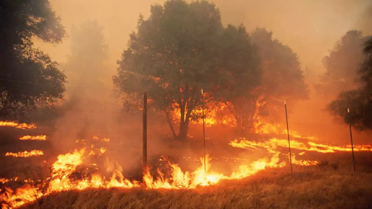 Mosquito Fire in Northern California has destroyed dozens of homes