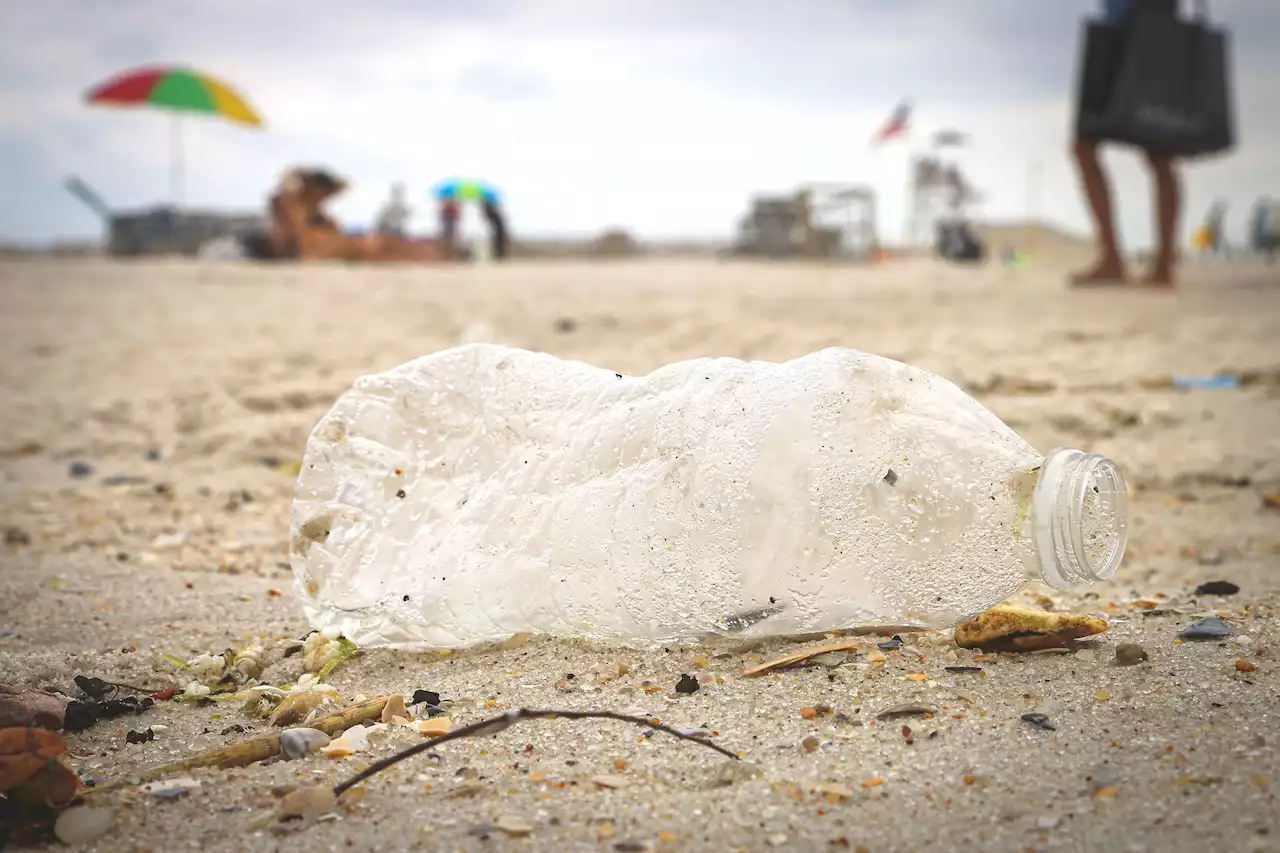 Weekend Forecast: Perfect Weather for Annual Adopt-a-Beach Cleanup on Lake Michigan