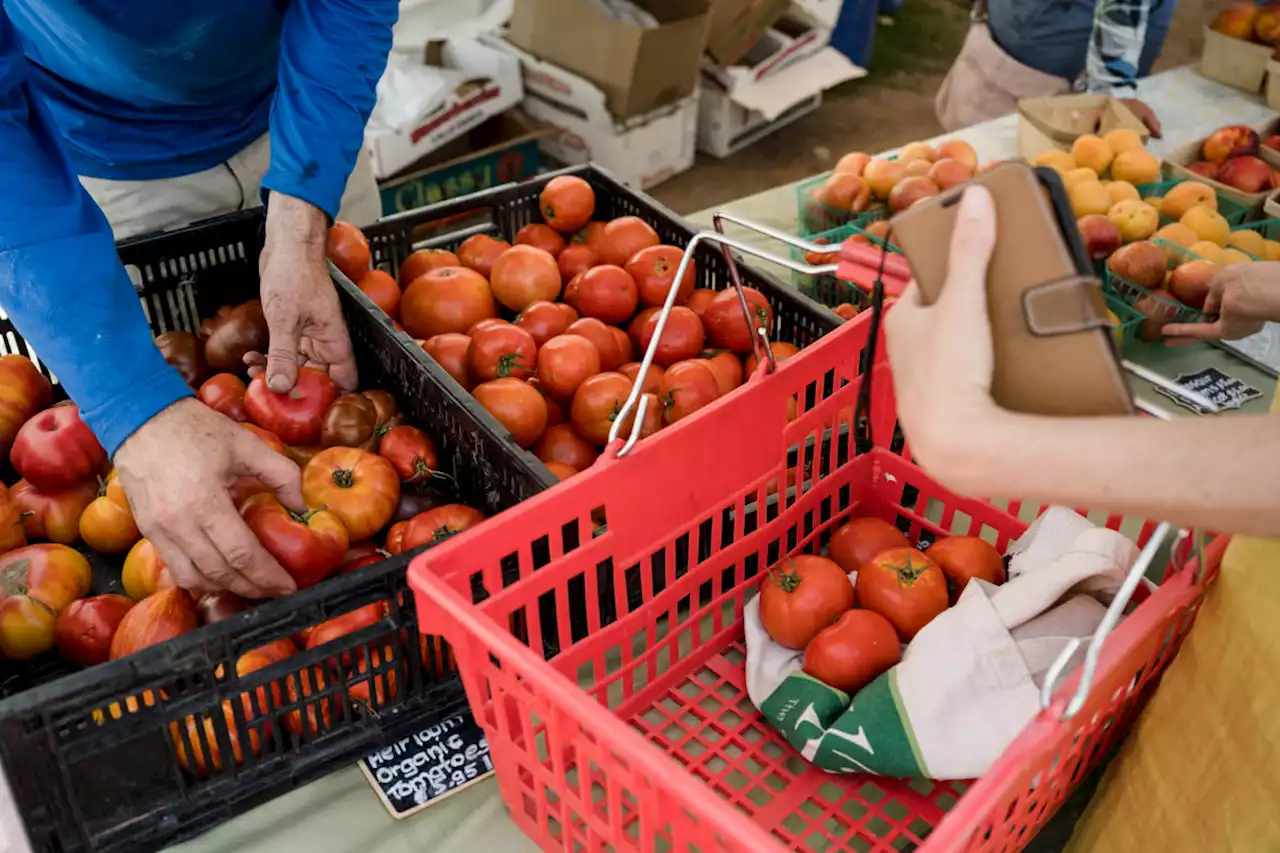 Grocery prices jumped the most since 1979 over the past year