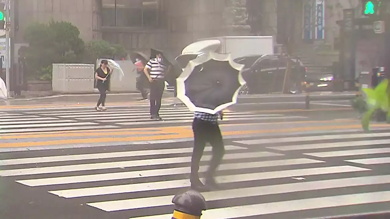 [날씨] 초강력 태풍되는 '난마돌'...방향 더 틀지만, 제주도·영남 해안 더 강한 비바람