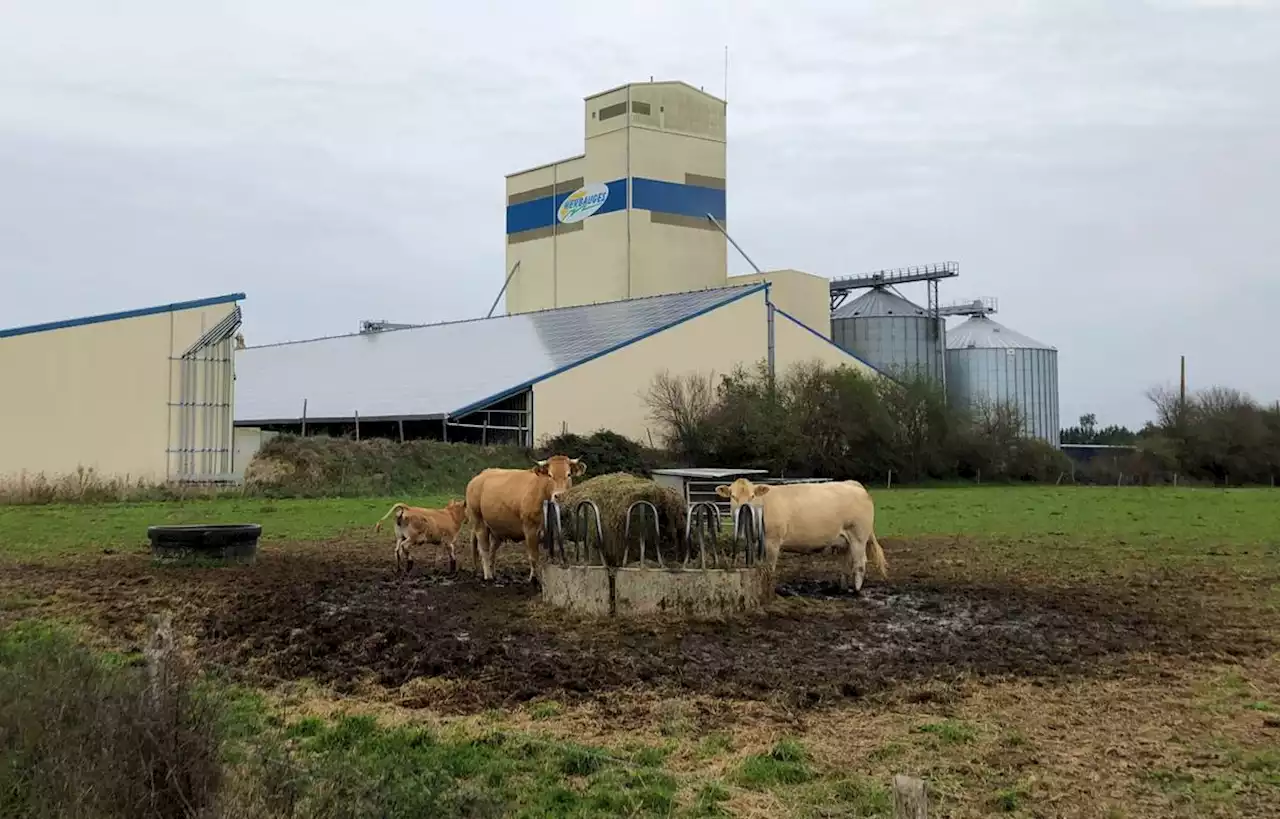 Au sud de Nantes, les opposants au méthaniseur XXL se font entendre