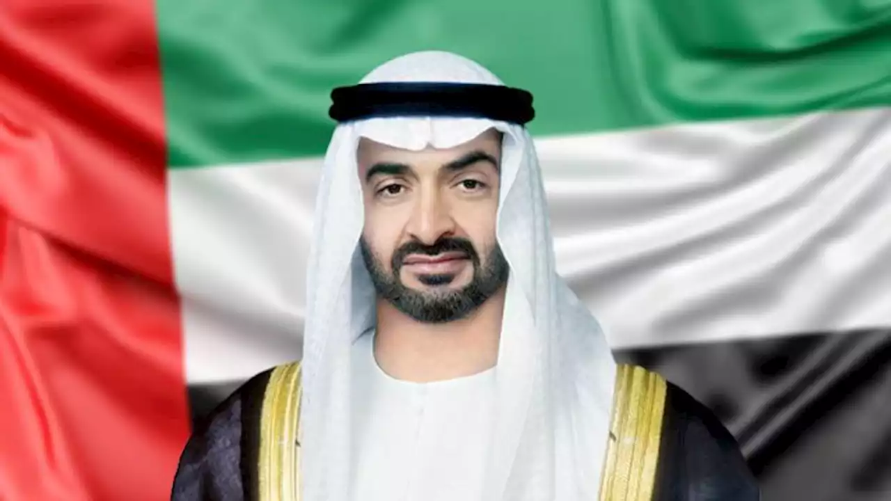 رئيس الدولة يزور أحمد بن سلطان بن هياي المنصوري | صحيفة الخليج