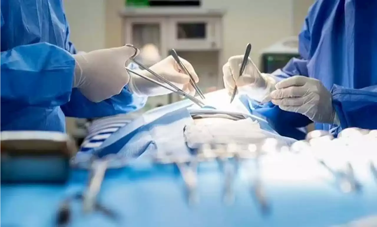 نقل 5 أعضاء من متوفى دماغياً بالطائرة إلى الرياض | صحيفة الخليج