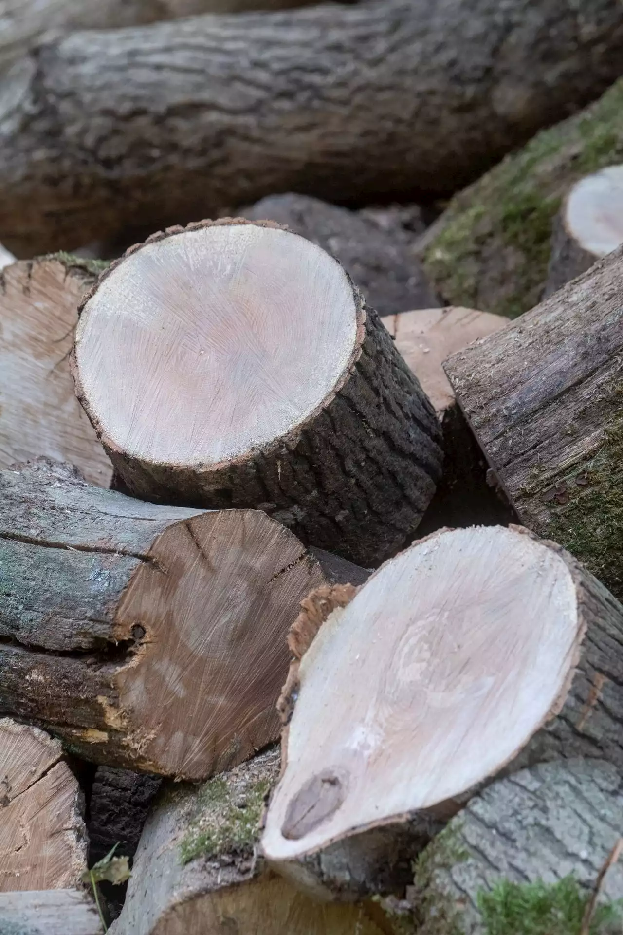 Schlechter als Erdgas? So nachhaltig ist Heizen mit Holz