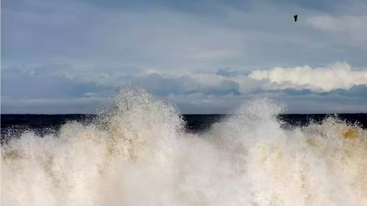 Gempat M 7,2 Guncang Pantai Taiwan, Ada Peringatan Tsunami