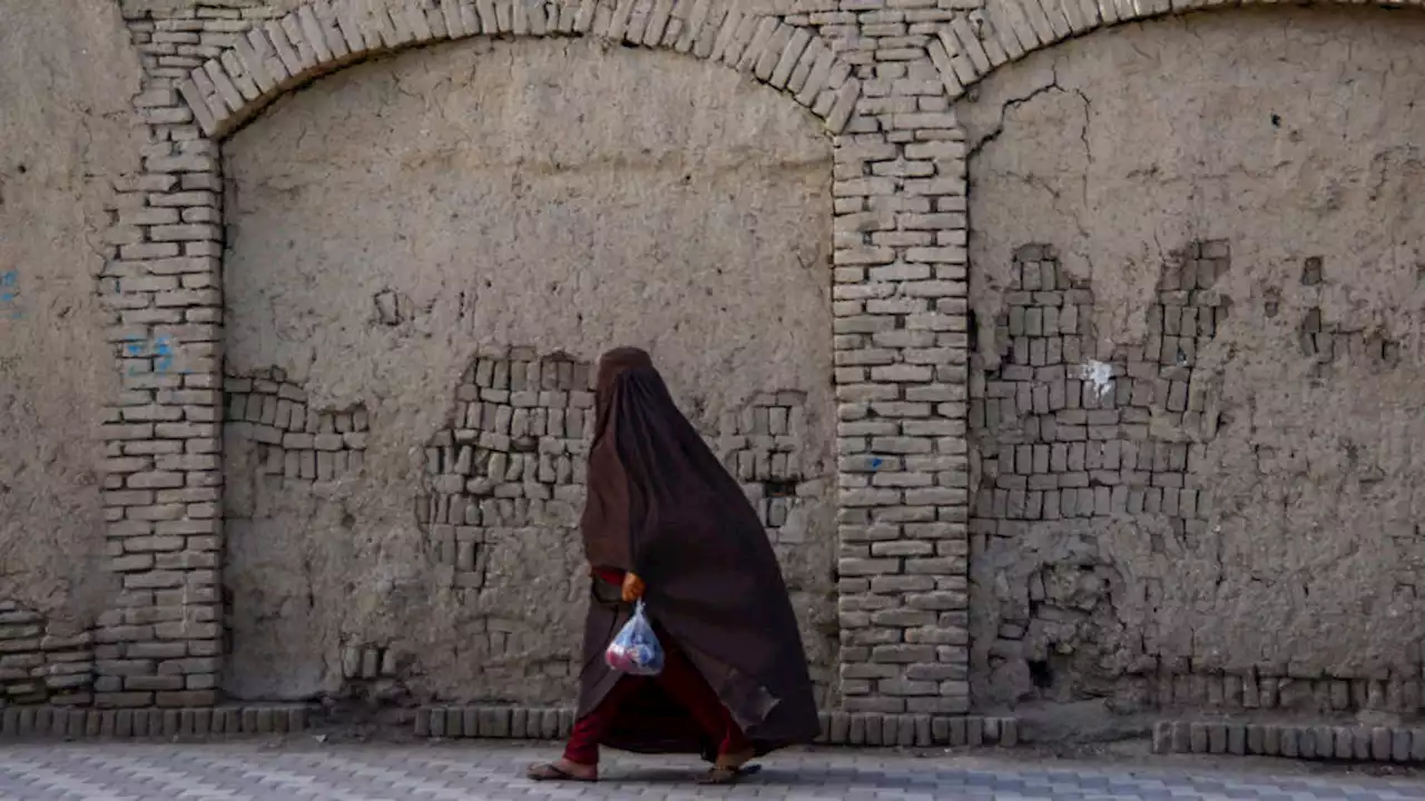 Afghanistan : l’ONU appelle les talibans à rouvrir les écoles pour filles, fermées depuis un an